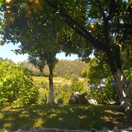 Quinta Da Chanca Paredes de Coura Exterior foto