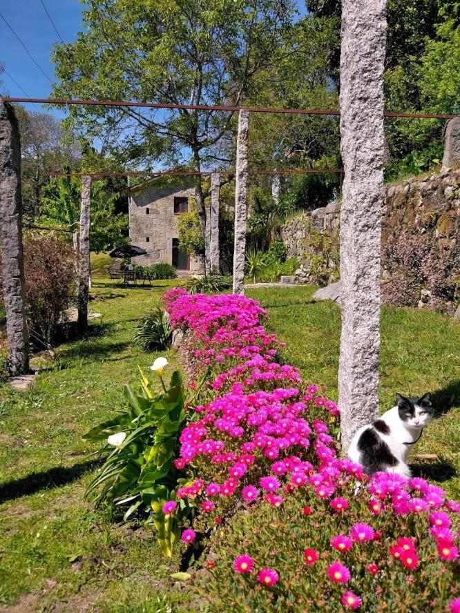 Quinta Da Chanca * Paredes de Coura