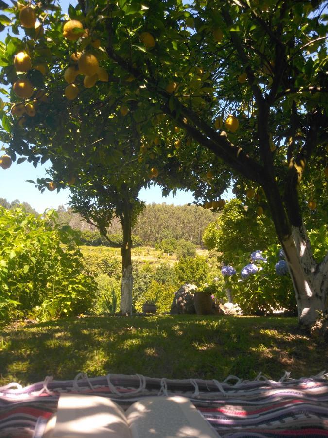 Quinta Da Chanca Ferienhaus *